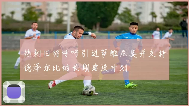 热刺旧将呼吁引进萨维尼奥并支持德泽尔比的长期建设计划